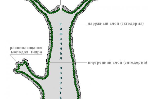 Как заказать на кракене