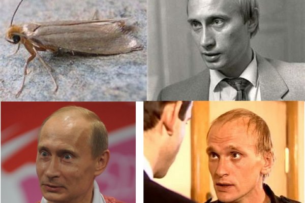 Кракен это наркотики