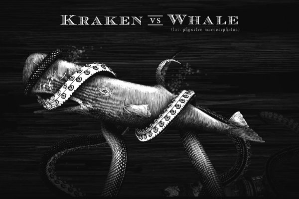 Kraken 13at магазин